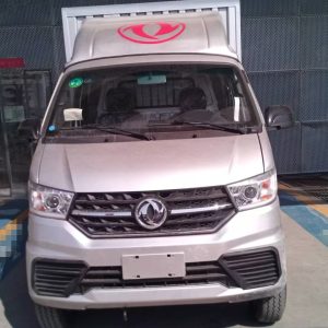 DONGFENG Tuyi cargo