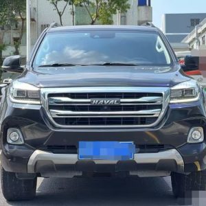 HAVAL H9