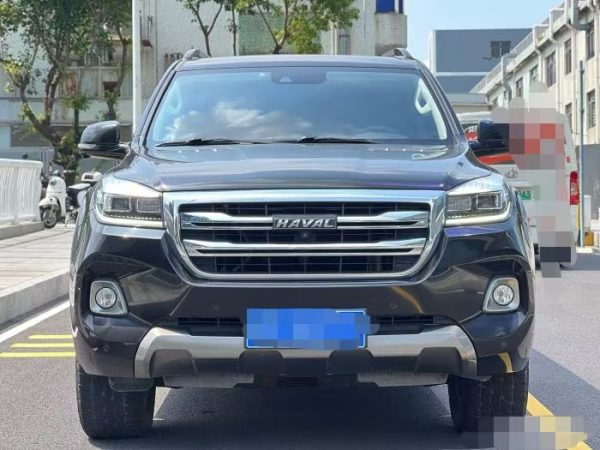 HAVAL H9