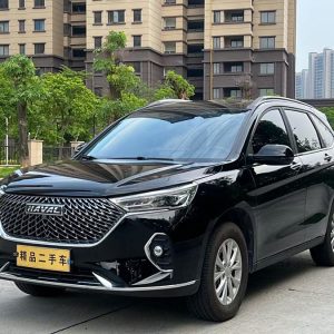 HAVAL M6 plus