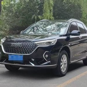 HAVAL M6 plus