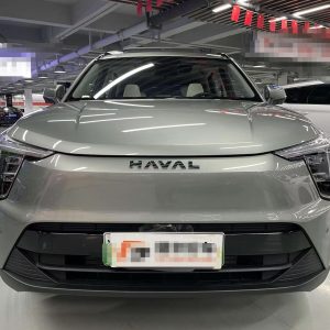 HAVAL Owl Dragon