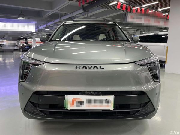 HAVAL Owl Dragon