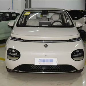 BAOJUN Smart forfour