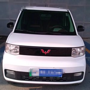 Wuling MINIEV